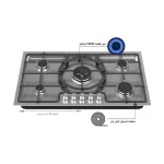 گاز رومیزی و صفحه ای داتیس 534-DS