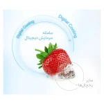 یخچال فریزر ساید بای ساید دوو سری پرایم 32 فوت مدل SXi20-21W سفید متالیک - Image 5