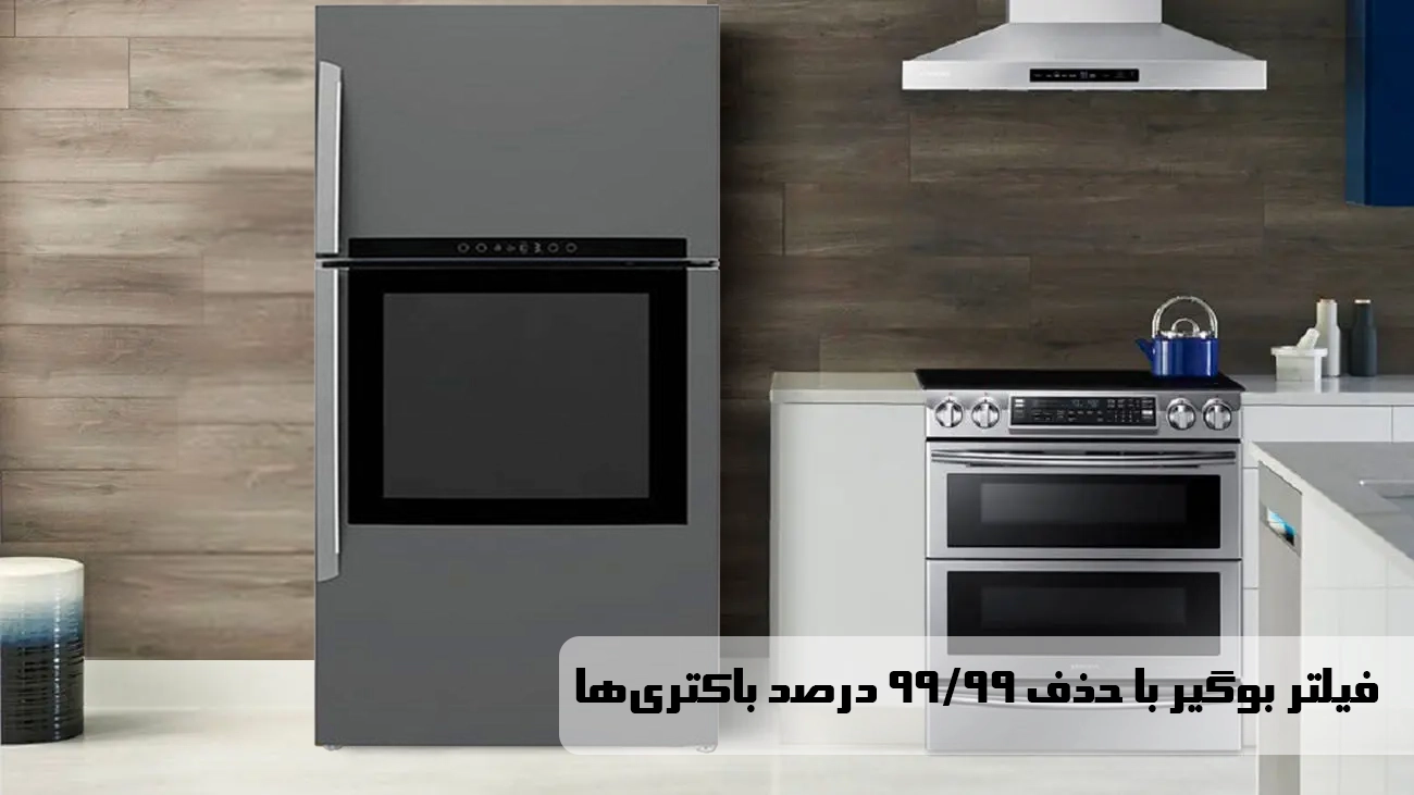 فیلتر بوگیر یخچال فریزر دیپوینت DISCOVER سیلور