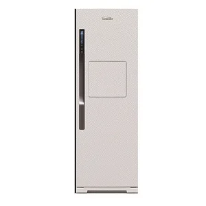 یخچال الکترواستیل مدل فیوچر ES21 رنگ سفید چرمی