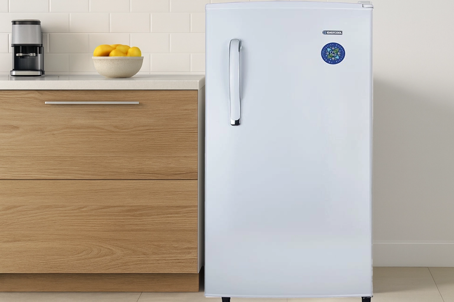 خرید یخچال کمپینگ ایستکول 9 فوت مدل TM-919-DC رنگ سفید