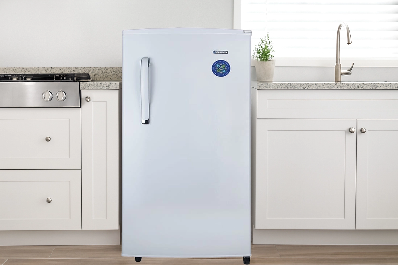 خرید یخچال کمپینگ ایستکول 9 فوت مدل TM-919-DC رنگ سفید